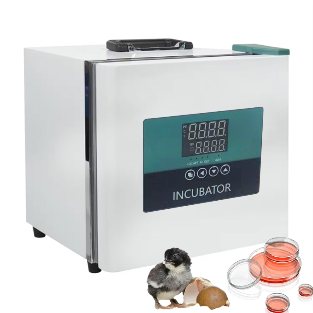 Medical Lab Microbiology - Incubatrice Portatile WEIAI da Laboratorio 9L