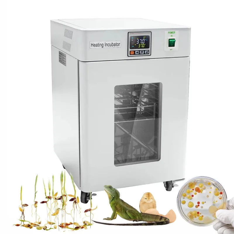 Medical Lab Microbiology - WEIAI 20L Indicatore biologico Termostatico Laboratorio