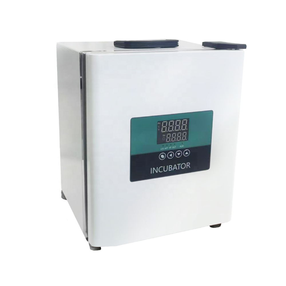 Medical Lab Microbiology - Incubatrice portatile da laboratorio WEIAI 9.2L