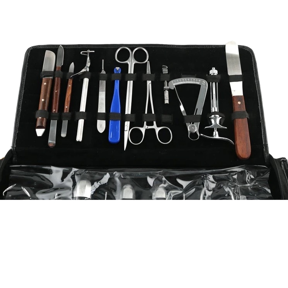 Surgical Instrument Set - Set di Strumenti Ortodontici Dentali, Kit