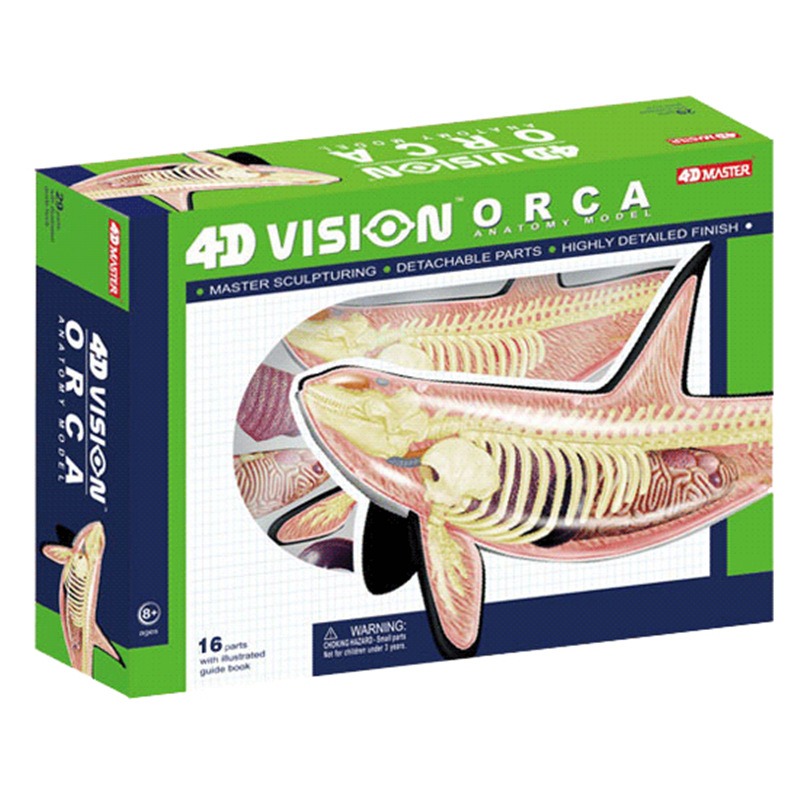 Medical Lab Assistant - 4D Visione Orca Balena Scheletro Anatomia
