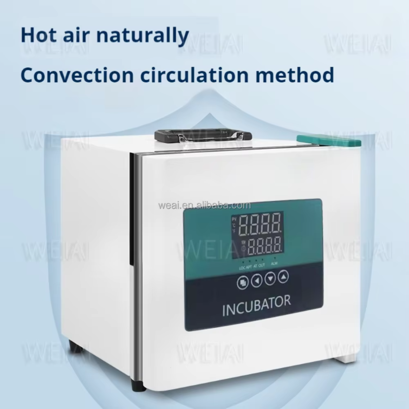 Incubatore Portatile da Labora - Medical Lab Microbiology recensione e prezzo