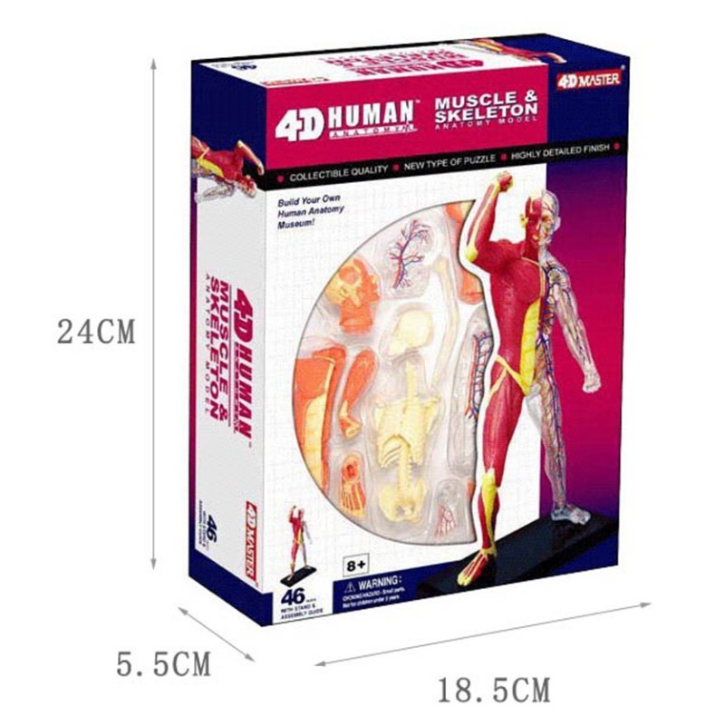 4d Master Modello di anatomia  - Medical Lab Assistant recensione e prezzo