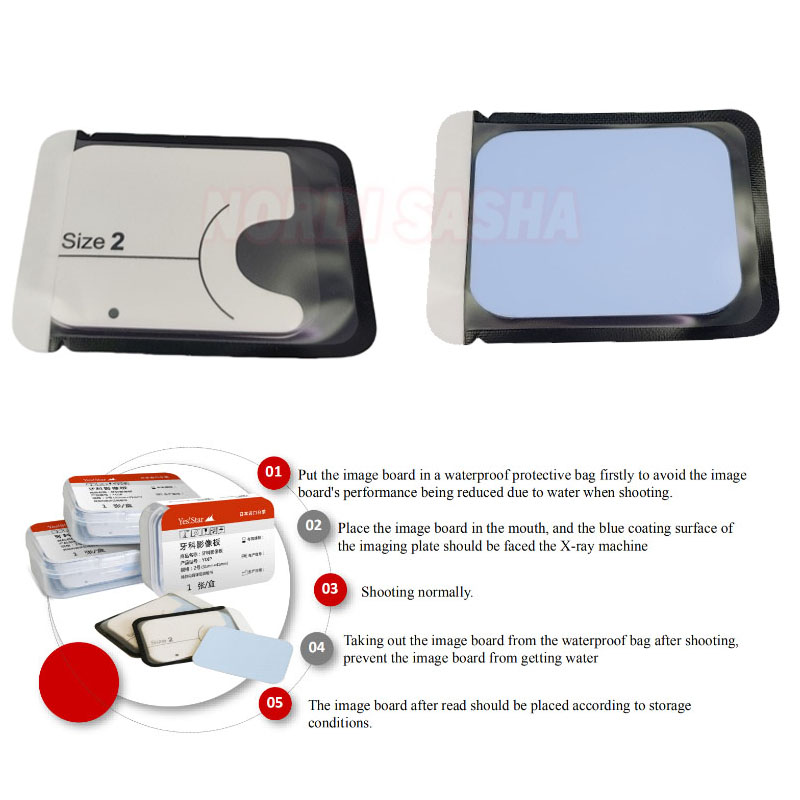 1 pz Dental Fosforo Immagine P - Medical X recensione e prezzo