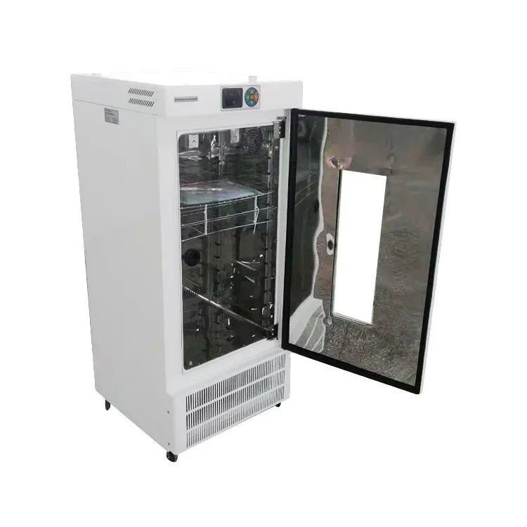 Forniture per laboratorio medi - Medical Lab Microbiology recensione e prezzo