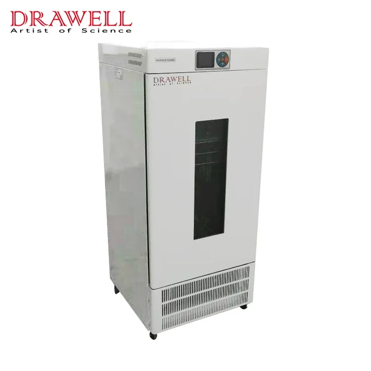 Forniture per laboratorio medi - Medical Lab Microbiology recensione e prezzo