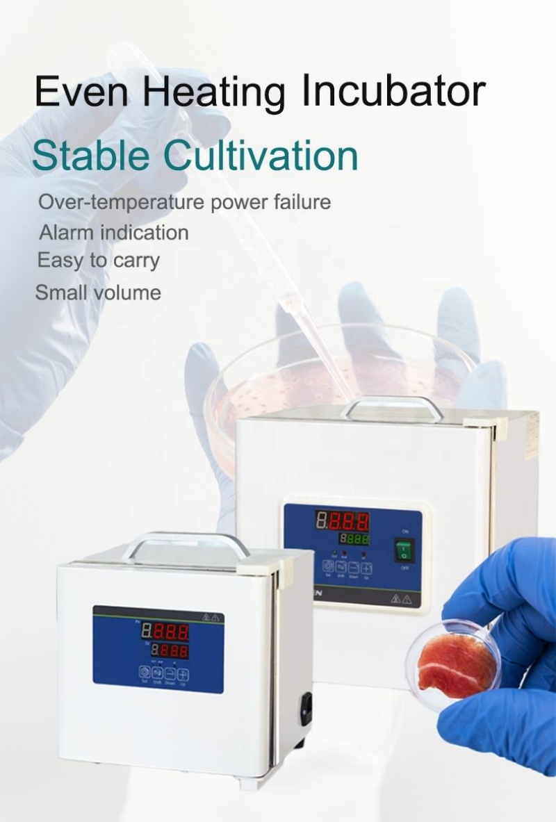 Incubatore da Laboratorio WEIA - Medical Lab Microbiology recensione e prezzo